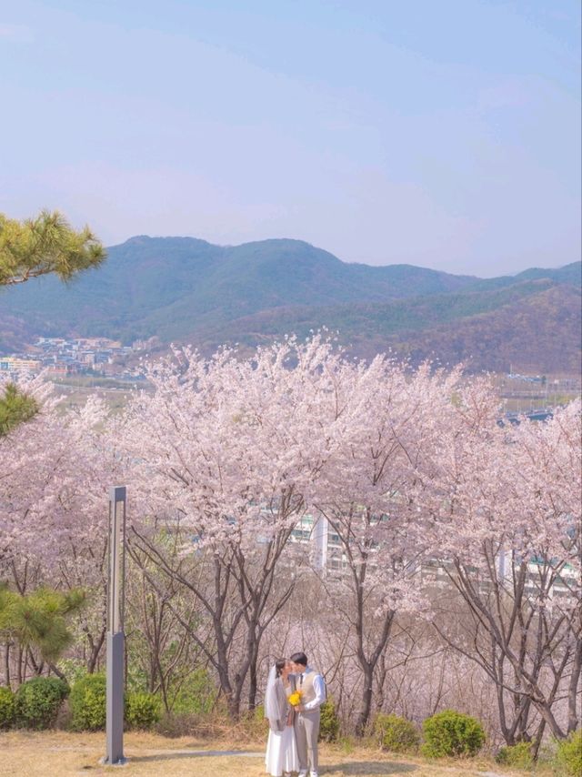 로맨스 영화의 한 장면이 생각나는 "침산공원"