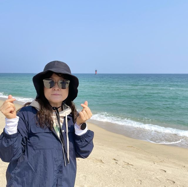 서퍼들이 좋아하는 파도가 몰려온다! 강릉해수욕장🏖️