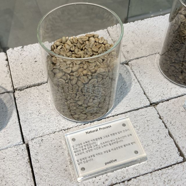 청주 분위기 좋은 카페, 성화동 포지티브 커피로스터스
