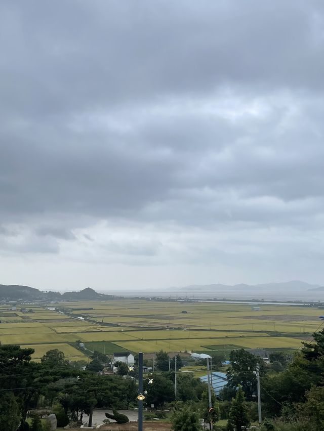 산속에서 멍때리기 좋은 강화도 카페 ‘멍때림’
