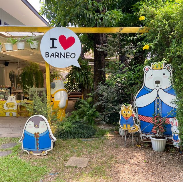 치앙마이 오가닉 버블티 맛집, 곰돌이 버블버블 barneo 🧋