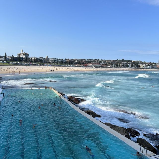 The famous Bondi Icebergs