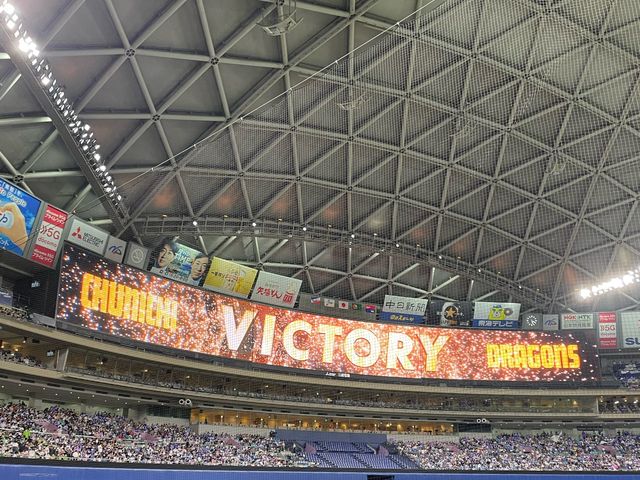 【愛知】雨の日でも安心のドーム球場！