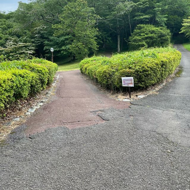 箱根九頭龍の森 