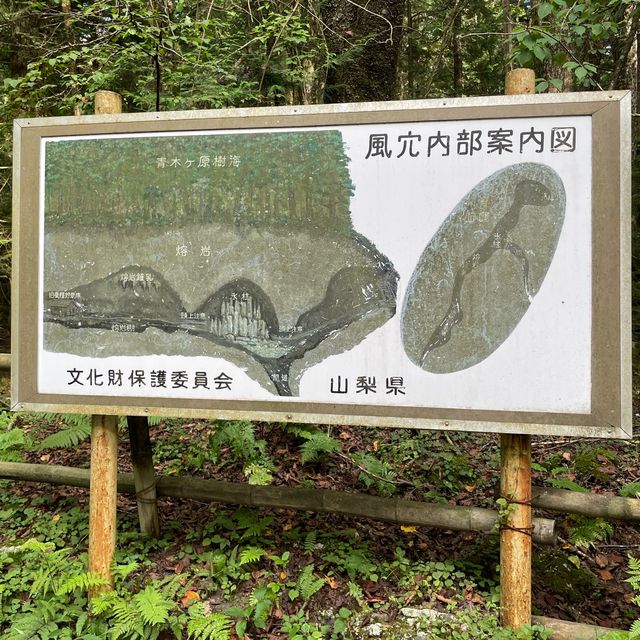 富岳風穴 WIND CAVE