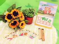 西寶城仲夏打造Go Wild Safari本地野外生態學堂 寓學習於娛樂