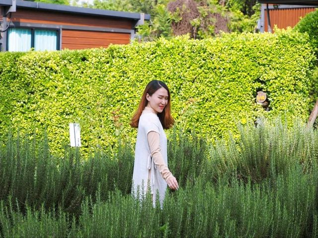 💚 💚  เขาใหญ่ช่วงนี้ช่างดีต่อใจ