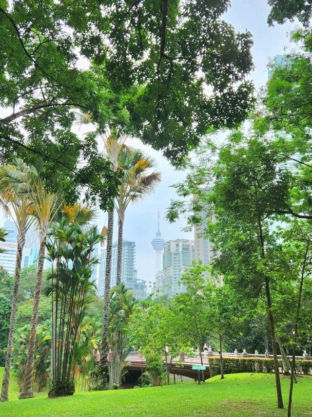 🇲🇾쿠알라룸푸르 빌딩 숲 사이 초록 공원🌿