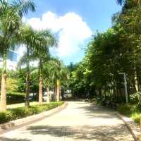 Mini Urban Park in Admiralty