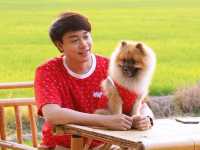 อิ๊กซ์อีสานคาเฟ่ คาเฟ่ทุ่งนาบรรยากาศดีต่อใจ