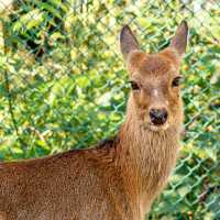 え！？無料の動物園！？