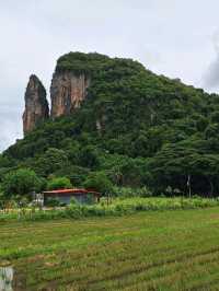 ไร่นาพาไล