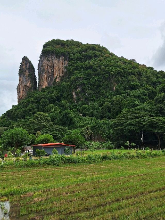 ไร่นาพาไล
