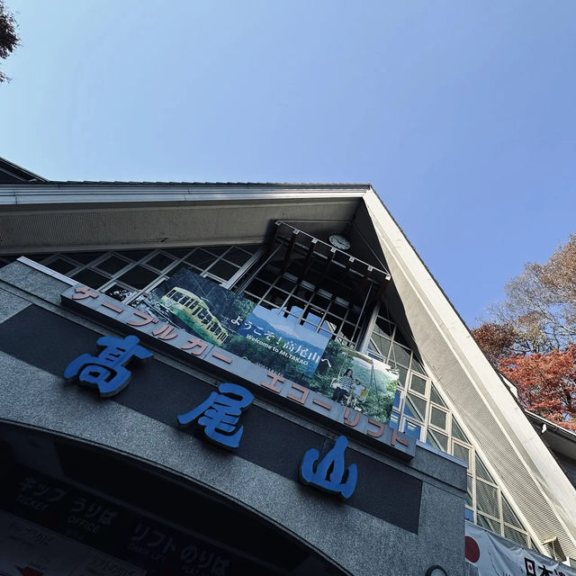 東京紅葉實況