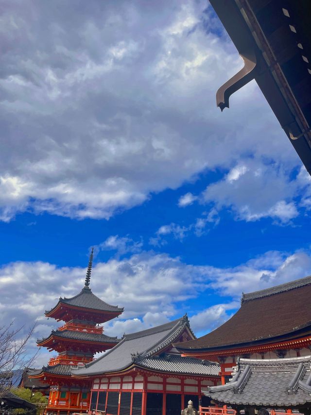 교토 가볼만 한 곳 1순위, 기요미즈데라 (청수사)🍁