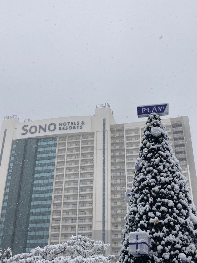 올해 눈꽃여행은 비발디파크에서~!