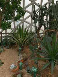 거제 수목원 데이트 코스로 좋고 아이와 함께 가보기 좋은 정글돔🌵 [거제_거제식물원]