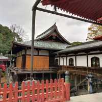 ใบไม้เปลี่ยนสีที่โตเกียว...วัด Kiyomizu Kannon