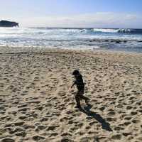 Sydney Bronte-Bondi Coastal Walk