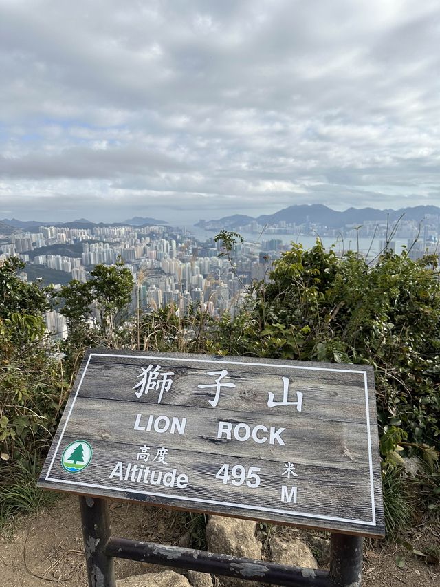 【新手行山路徑· 香港著名山峰.獅子山⛰️】