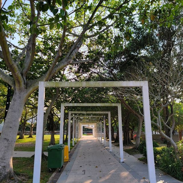「回歸紀念塔」前的繡球花海🌺🪻🌸🪷