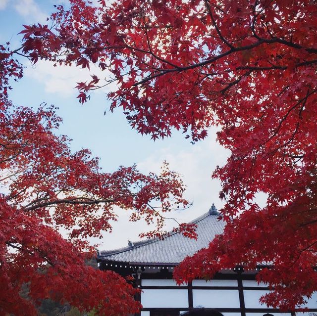 性格比極高的金湯溫泉旅館