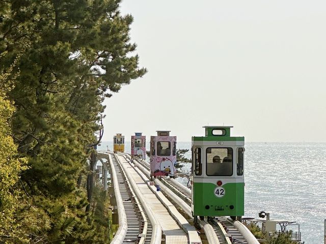 The best way to enjoy Busan’s beaches 🏝️