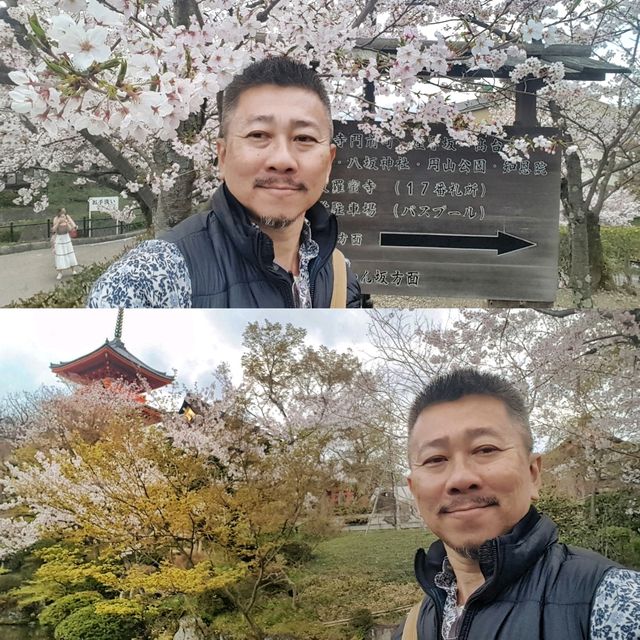 Kiyomizu-dera, Kyoto in Spring! 🌸🍀🌿🌱