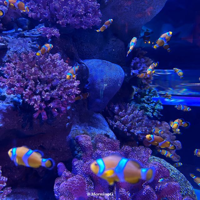 SEA LIFE Bangkok Ocean World 🐠 