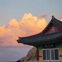 바다위의 특별한 절 해동용궁사🌊