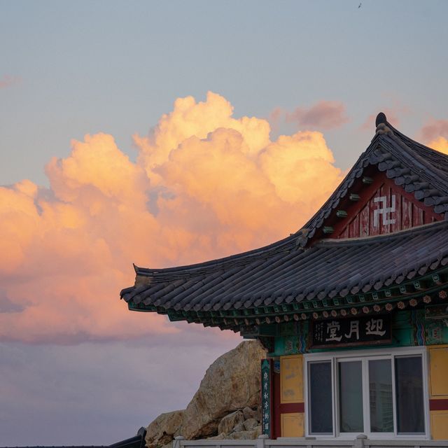바다위의 특별한 절 해동용궁사🌊