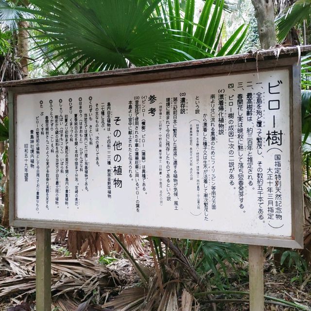 宮崎県「青島神社」海とジャングルのパワースポット