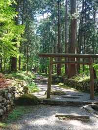 【福井】白山平泉寺／平泉寺白山神社