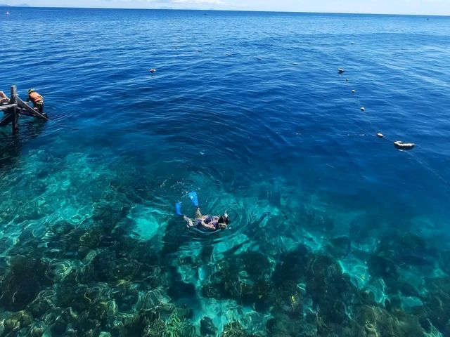#no filter🌊純天然碧海藍天美人魚🧜🏻‍♀️