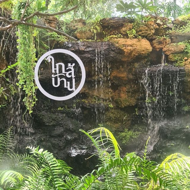 ใกล้บ้าน in the garden ☕️ คาเฟ่แห่งความอบอุ่น