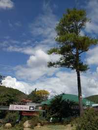 ELEPHANT WATERFALL - Dalat