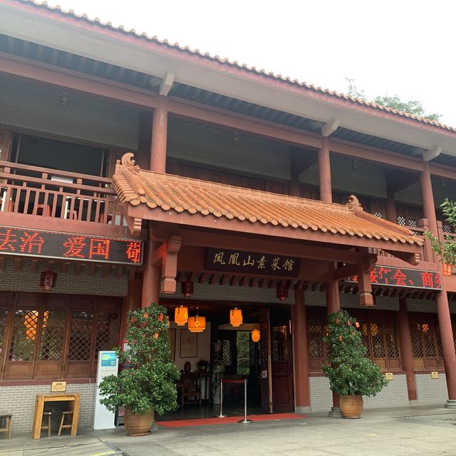 深圳景點✨ 人山人海的鳳凰山森林公園
