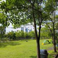 สวนสาธารณะหลังฝนตก