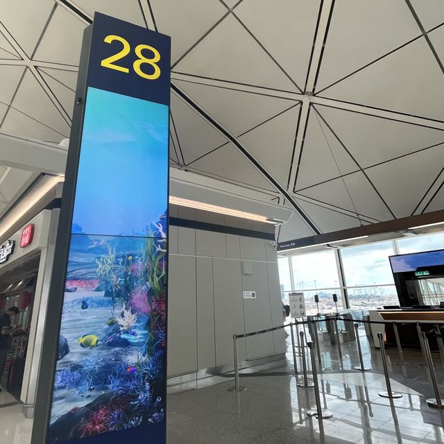 香港機場真係好大🤣