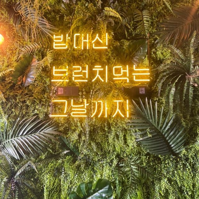 파주 루프탑 브런치 맛집, 브런치빈 💘