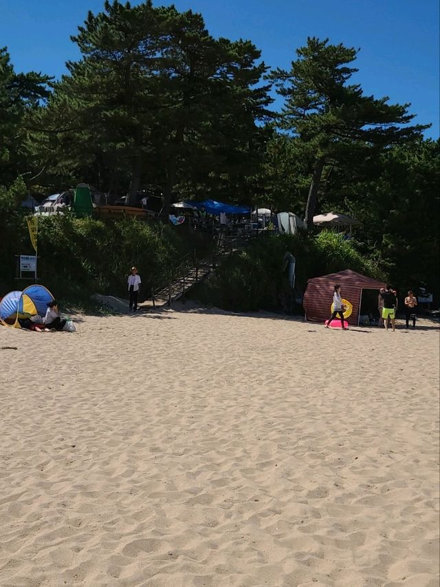 【京都】鳴き砂のある絶景海水浴場