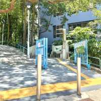 🌈隱世後花園-中葵涌公園
