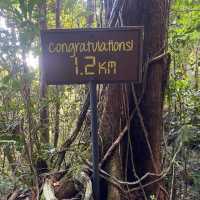 Toughest Climb - Mulu Pinnacles