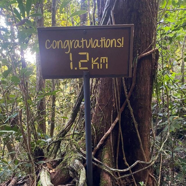 Toughest Climb - Mulu Pinnacles