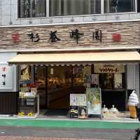 『巣鴨地蔵通り商店街 』IN巣鴨駅🚉