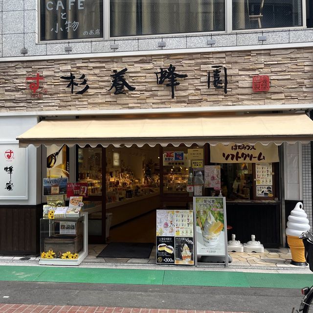 『巣鴨地蔵通り商店街 』IN巣鴨駅🚉