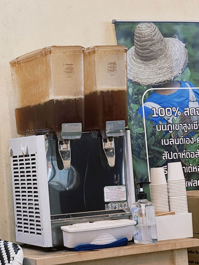 ชาออริจินอลจากเชียงใหม่ ต้องลอง!