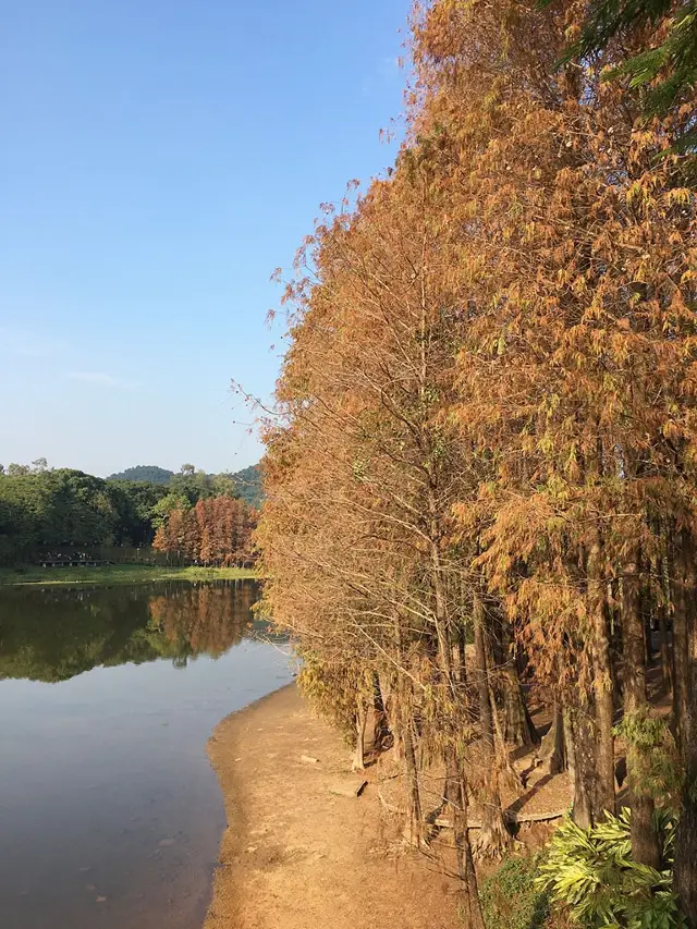 廣州麓湖公園