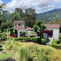 Beautiful garden North of Chiang Rai