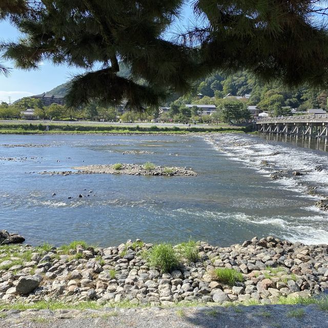 嵐山観光スポット！夏の渡月橋から見る桂川は太陽が川に反射してキラキラしていた